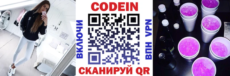 Купить закладки  Нестеров  Codein напиток Lean (лин) 