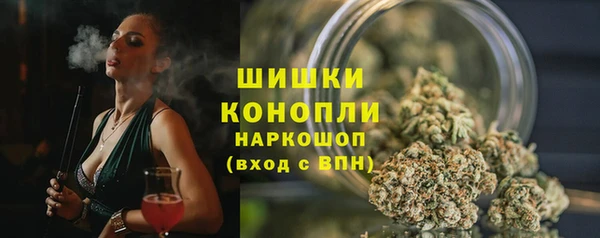 прущие крисы Кодинск