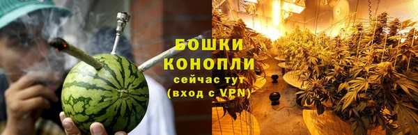 ГАЛЛЮЦИНОГЕННЫЕ ГРИБЫ Козельск